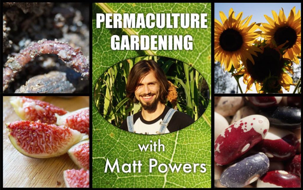 permaculture gardening matt powers